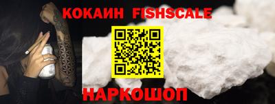 гашик Камышлов