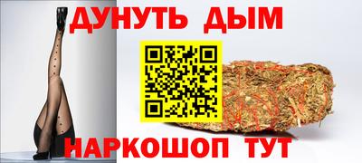 гашик Камышлов