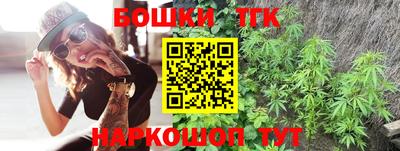 гашик Камышлов