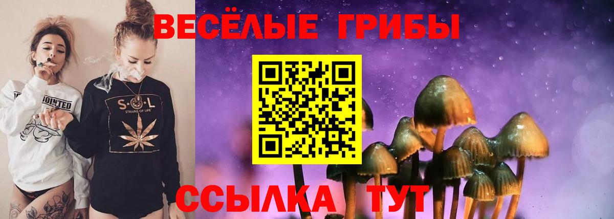 Королёв  Галлюциногенные грибы мухоморы  купить   Вход с VPN 